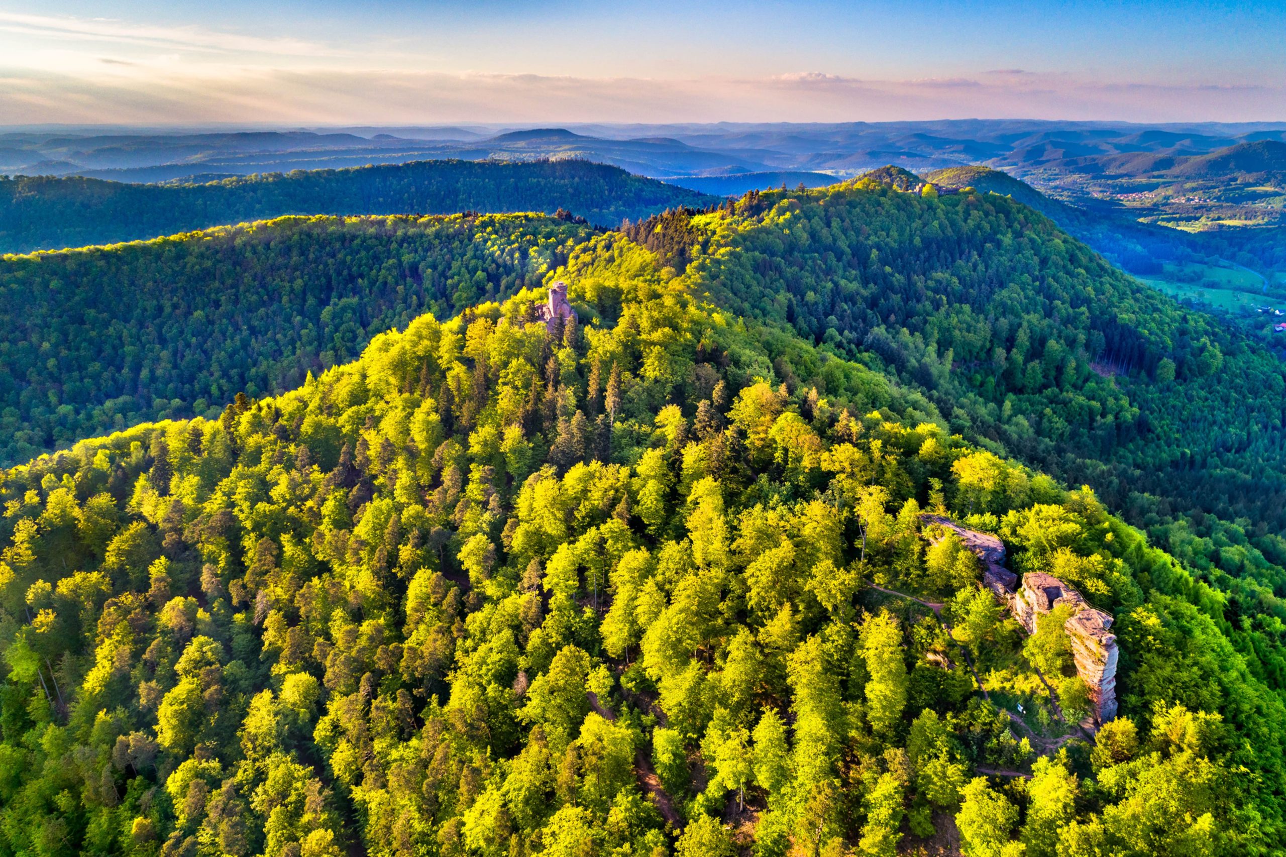 Vosges
