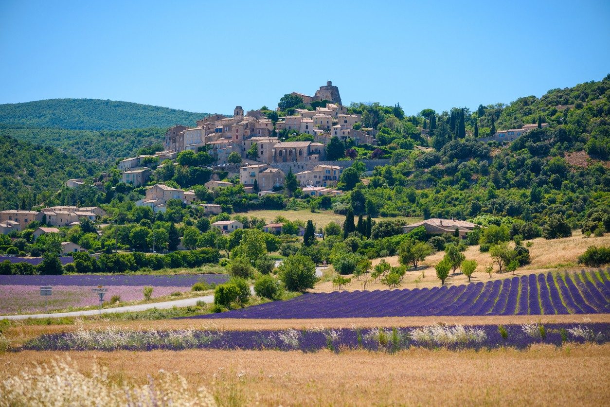 vaucluse